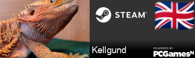 Kellgund Steam Signature