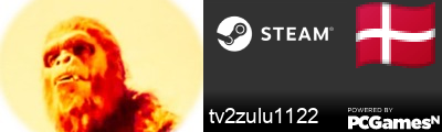 tv2zulu1122 Steam Signature