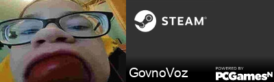 GovnoVoz Steam Signature