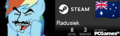 Radusiek Steam Signature