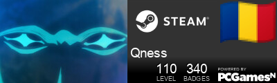 Qness Steam Signature
