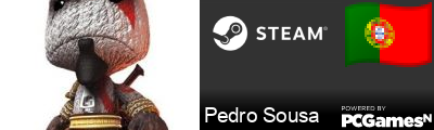 Pedro Sousa Steam Signature