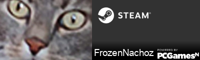 FrozenNachoz Steam Signature