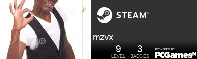 mzvx Steam Signature