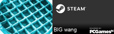 BIG wang Steam Signature
