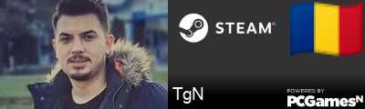 TgN Steam Signature