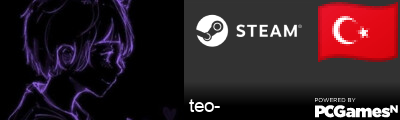 teo- Steam Signature