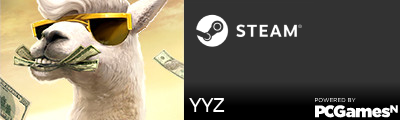 YYZ Steam Signature