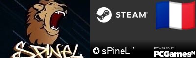 ✪ sPineL ` Steam Signature