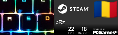 bRz Steam Signature