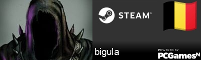 bigula Steam Signature