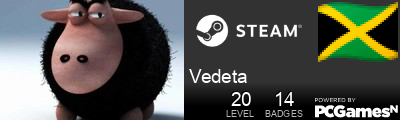 Vedeta Steam Signature