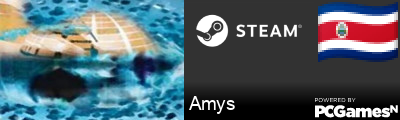 Amys Steam Signature