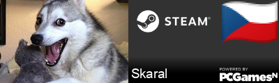Skaral Steam Signature