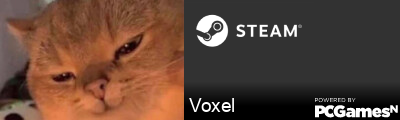 Voxel Steam Signature