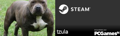 tzula Steam Signature