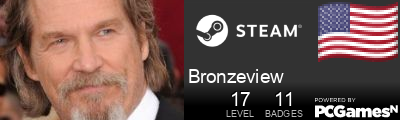 Bronzeview Steam Signature