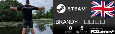:BRANDY    ᴿᴲᴳᴱ Steam Signature