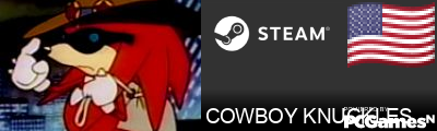 COWBOY KNUCKLES Steam Signature