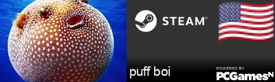 puff boi Steam Signature