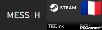 TEDmk Steam Signature