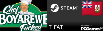 T_FAT Steam Signature