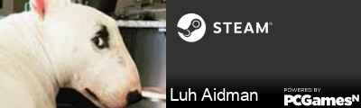 Luh Aidman Steam Signature