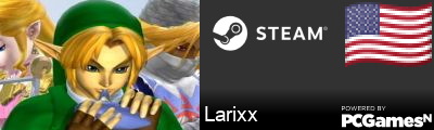 Larixx Steam Signature