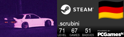 .scrubini Steam Signature