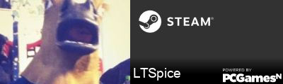 LTSpice Steam Signature