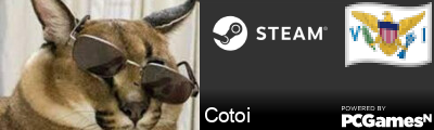 Cotoi Steam Signature