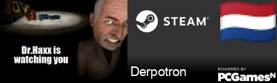 Derpotron Steam Signature