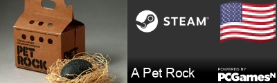 A Pet Rock Steam Signature