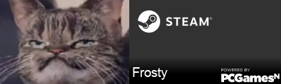 Frosty Steam Signature