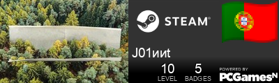 J01ииt Steam Signature