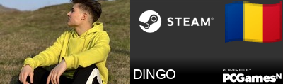 DINGO Steam Signature