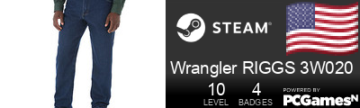 Wrangler RIGGS 3W020 Steam Signature