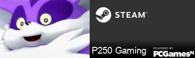 P250 Gaming Steam Signature