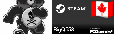 BigQ558 Steam Signature