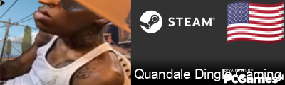 Quandale Dingle Gaming Steam Signature