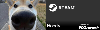 Hoody Steam Signature