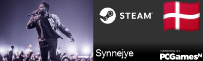 Synnejye Steam Signature