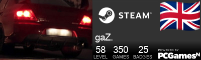 gaZ. Steam Signature