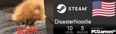 DisasterNoodle Steam Signature