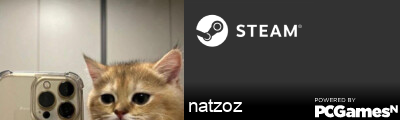 natzoz Steam Signature