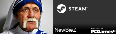 NewBieZ Steam Signature