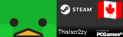 ThisIscr2zy Steam Signature