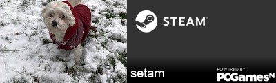 setam Steam Signature