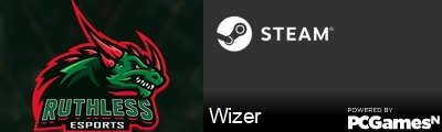 Wizer Steam Signature