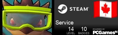 Service Steam Signature